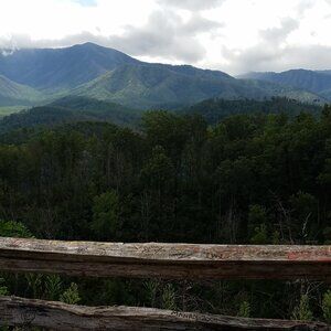 Meet your Posher, L.J.